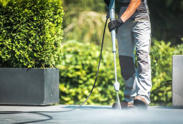 Best Driveway Pressure Washing  in Florence Graham, CA